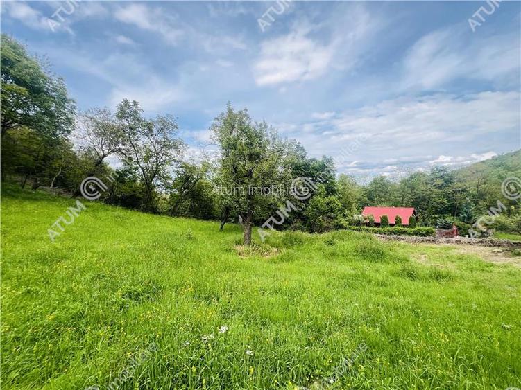 Teren intravilan de 1811 mp situat in Sibiel judetul Sibiu - 2