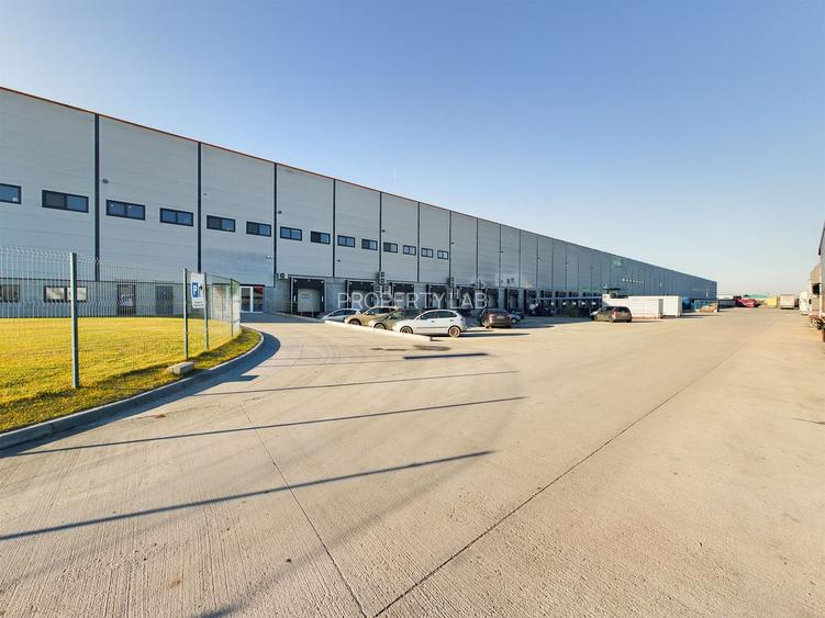 Hală cu suprafața utilă de 8.000 mp Giarmata - 3