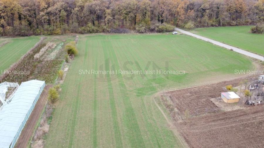 REL4001127 Teren situat langa Padure l Balta Neagra - 8