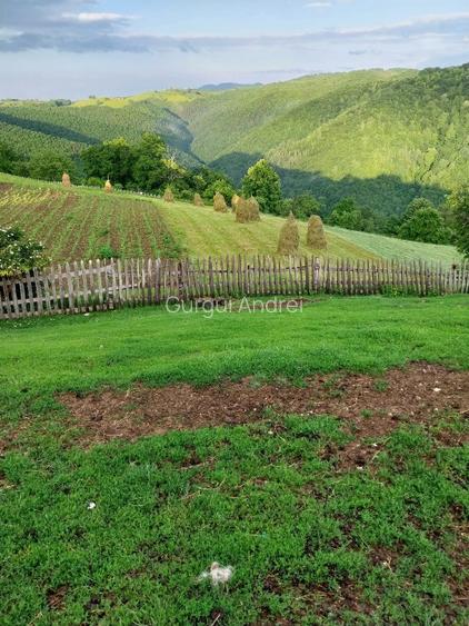 Casa cu teren de vânzare în zona de munte  - 6