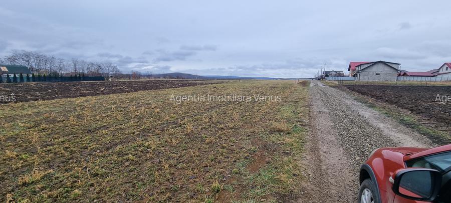 Loturi de teren intravilan la Tulbureni - 2