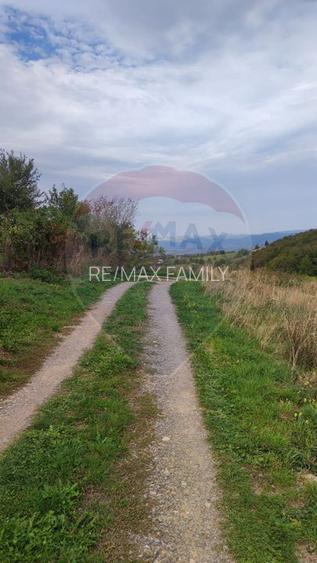 Teren intravilan constructii 3082 mp Damis Bratca drum DJ 764D - 9