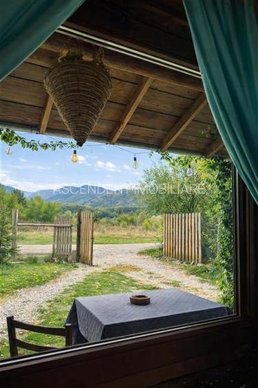 Resedinte montane,mobilate,echipate, jacuzzi,piscina,pretios areal,Sambata de Su - 21