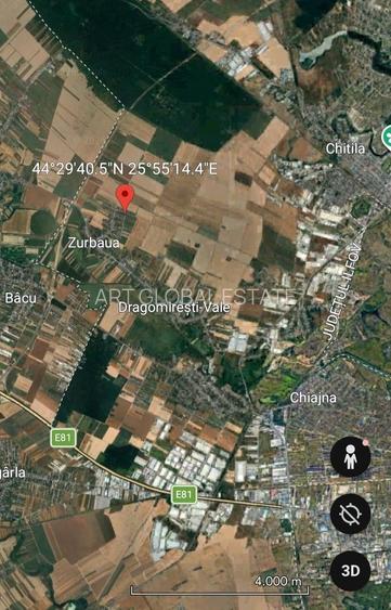 Teren Intravilan Zurbaua Dragomiresti 500mp - 11