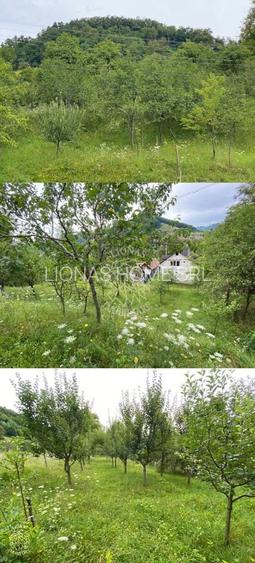 Casa 4 camere-teren/livada 1250 mp-pretabil locuire-Nepos - 2