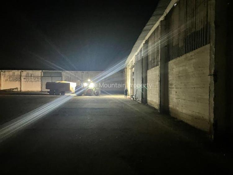 Oportunitate in Peris- teren, spatii industriale, silozuri 18000 tone- inchirier - 6