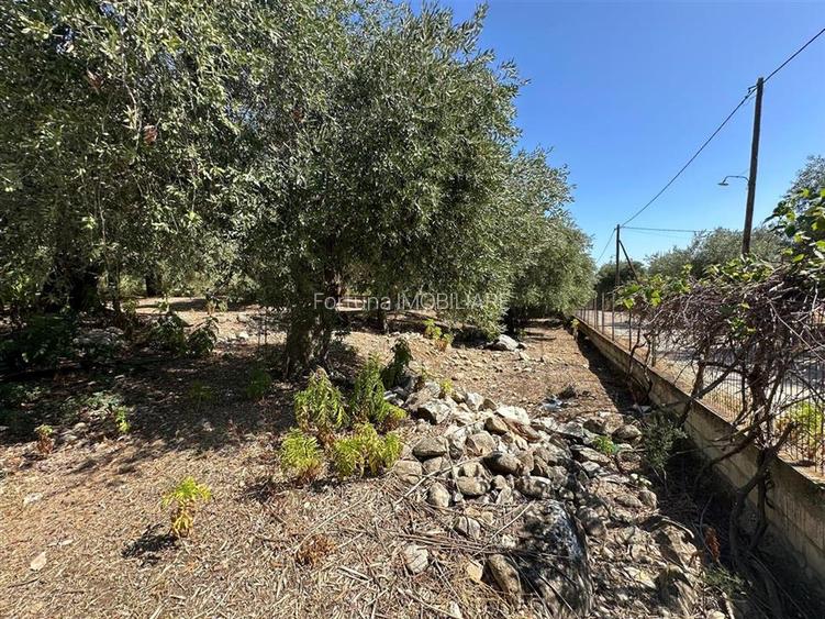 Teren intravilan pe insula Thassos, aproape de plaja salbatica - 7