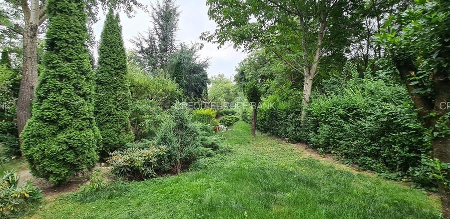 Casa Pucioasa, Judetul Dambovita - 7