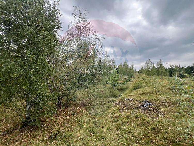 Teren extravilan parcelabil Călățele Pădure, zona Dealu Negru - 9