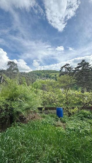 APARTAMET IN VILA  CU GRADINA - 2