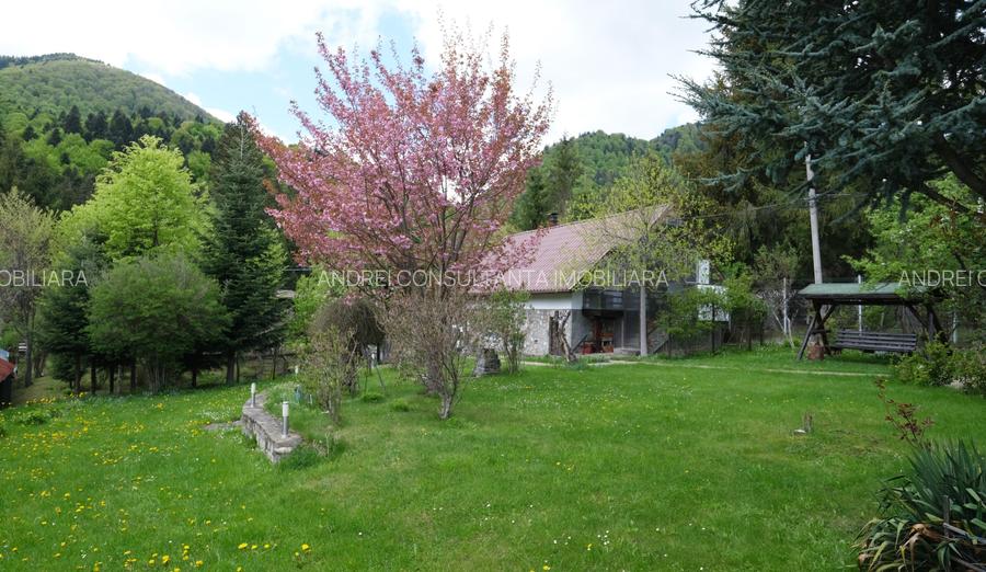 Vanzare 2 vile noi, mari superbe si 1905 mp teren la munte in Cheia Prahova - 5