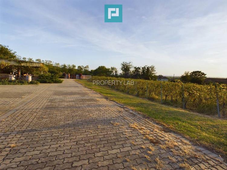 Pivnițele Birăuaș D.O.C Miniș - RATE FĂRĂ DOBÂNDĂ - 30