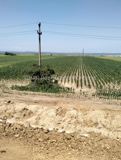 Teren Oarja de 8 400 mp, langa Pasarela A1, 5,5 euro/mp la Pretul 46 200 Euro. - 3