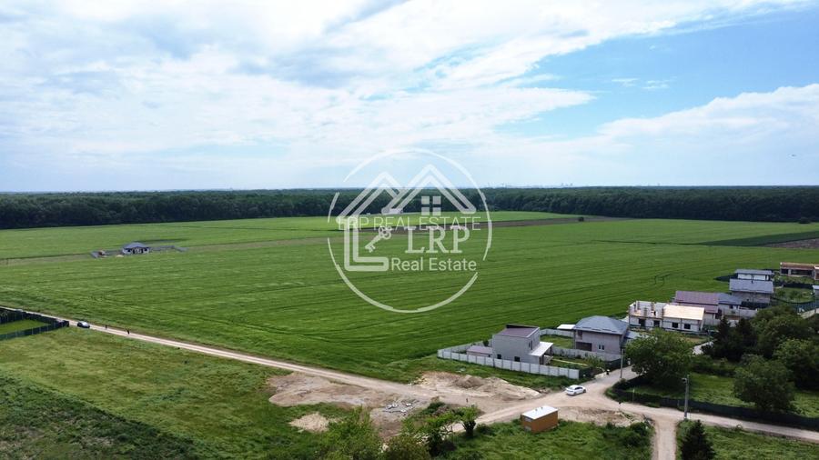 OPORTUNITATE INVESTIȚIE:Teren intravilan 25.000mp Dascălu-Pădure, parcelabil - 7