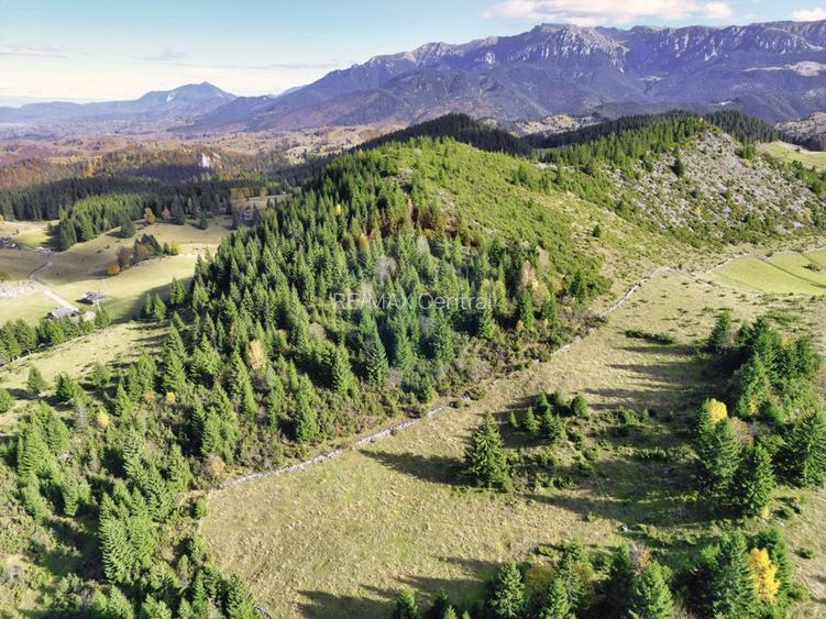 Teren 17590 mp în Fundata, lângă Cheile Grădiștei, Brașov! - 5