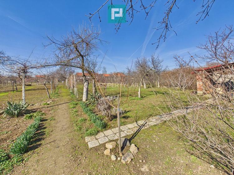 Casă cu 6 camere pe teren de 2029 mp – Miniș - 23