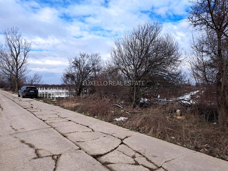 TEREN SNAGOV LANGA ARTIST THE BARN - 3