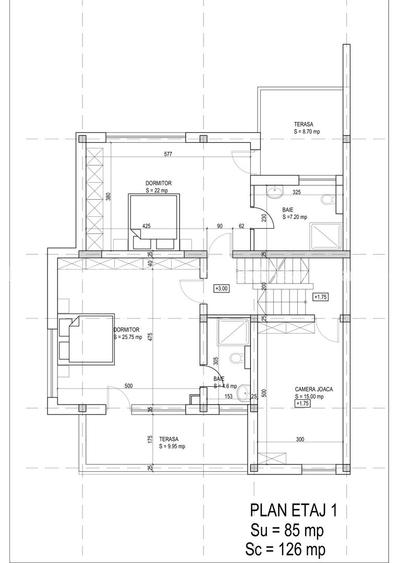 Casa duplex spatioasa, curte, garaj, in proximitatea Parcului Herastrau - 2