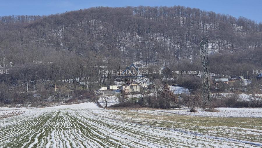 Teren intravilan 8147 mp – Băiculești, jud. Argeș - 3