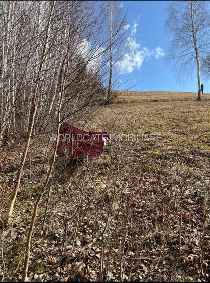 Vanzare Teren cu Punct de Belvedere in Moieciu zona Magura-Pestera - 21