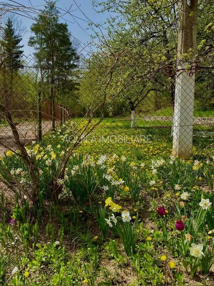 Teren intravilan 5660 mp - 2