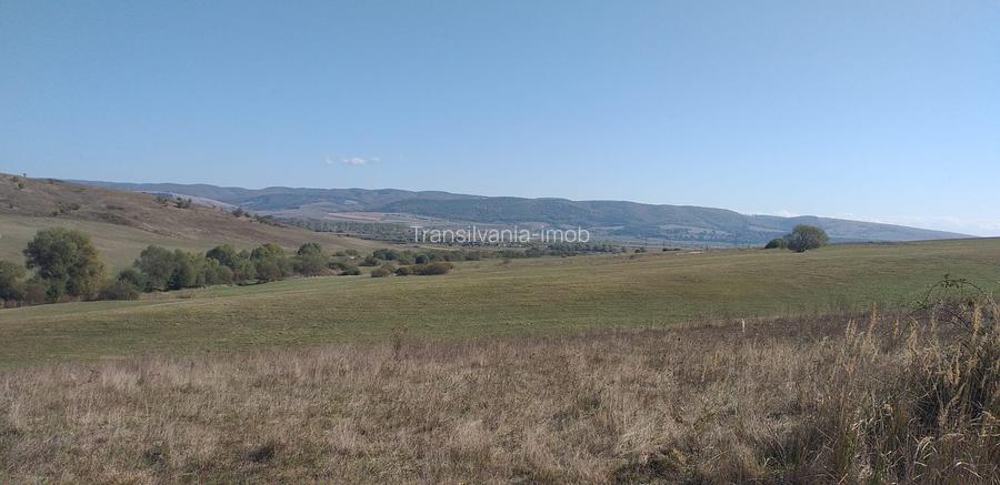 Teren Apata 0.8 euro/mp pretabil investitie - 3