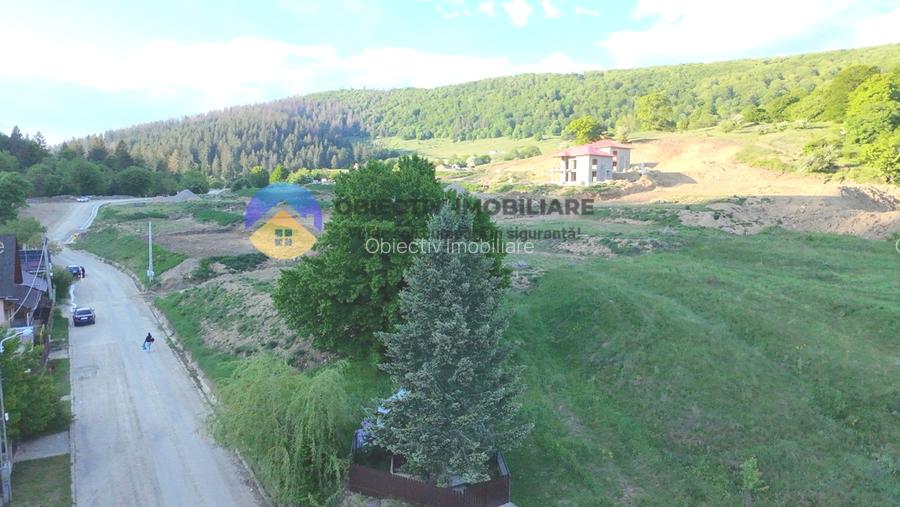 TEREN intravilan PIATRA NEAMT strada DRAGOS VODA (Valea Viei) - 6