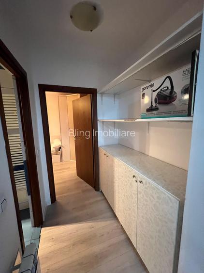 Apartament 3 camere mobilat si utilat, Muzeul Apei/Avram Iancu - 9
