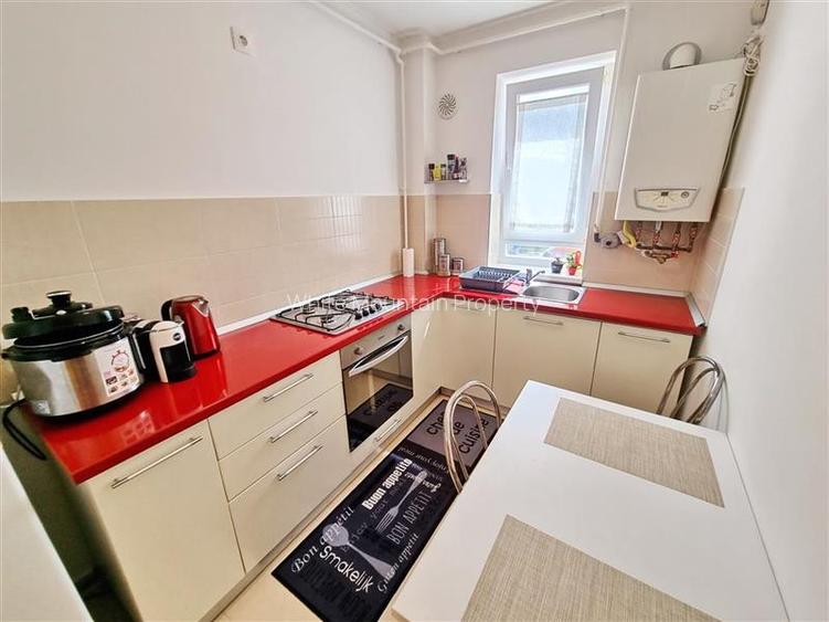 Apartament primitor cu 2 camere de inchiriat in Avantgarden Tractorul - 19