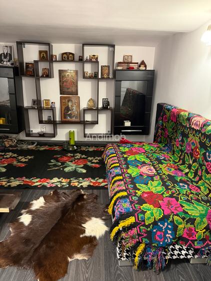 Vanzare 7 camere  in vila BELLE ÉPOQUE - GRADINA ICOANEI - 25