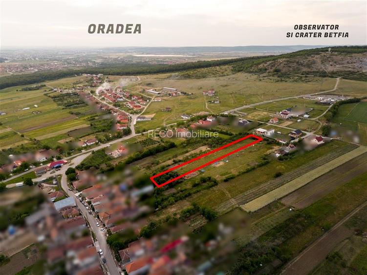 RECO Teren intravilan de vanzare Betfia, Bihor - 3000 mp, front stradal 20 m - 8