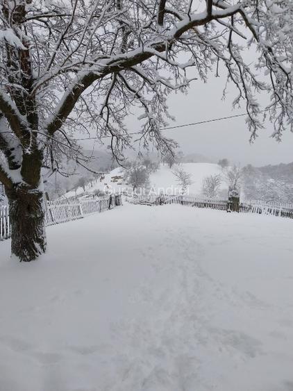 Casa cu teren de vânzare în zona de munte  - 11