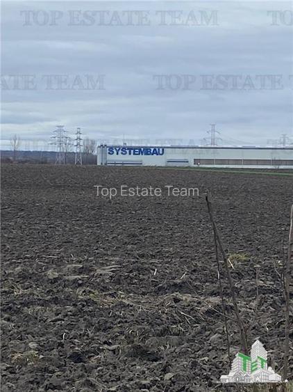 Teren Extravilan 10.000 mp in Prahova - 3