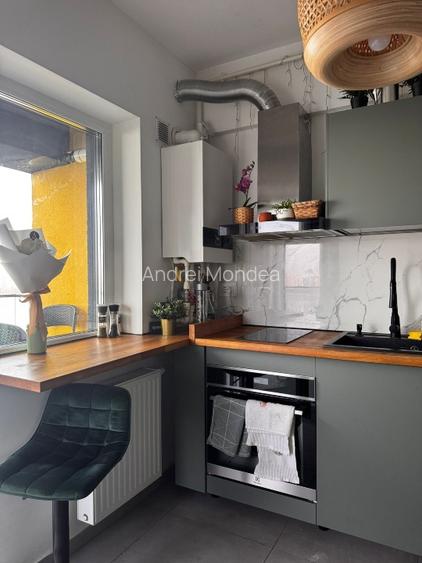 Studio special priveliste lac - 2