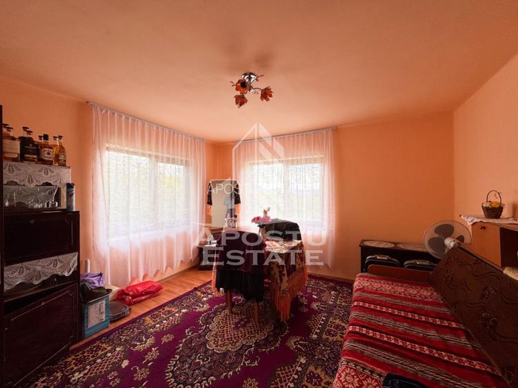 Casa la munte, la cheie, priveliste panoramica, in sat Ret, Hunedoara - 14