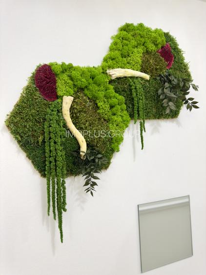 APARTAMENT ROYAL TOWN PRIMA INCHIRIERE 0% COMISION - 26