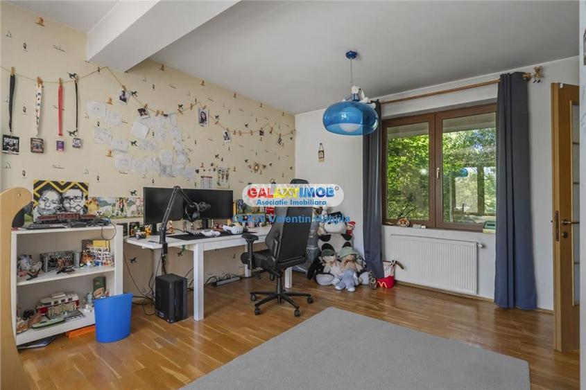 Vanzare vila Lacul TEI  PETRICANI INSULA  LAC 1900 MP TEREN - 24