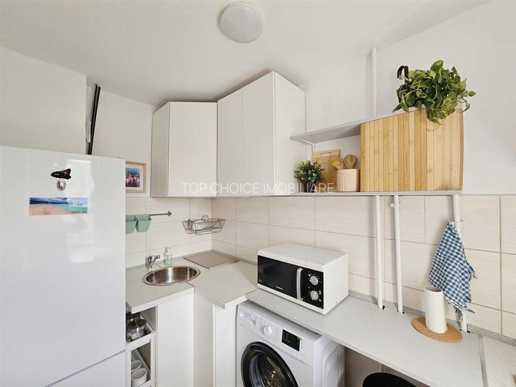 GARSONIERA IEFTINA SI BUNA - TEIUL DOAMNEI - BOILER 8/10 - INVESTITIE - 10