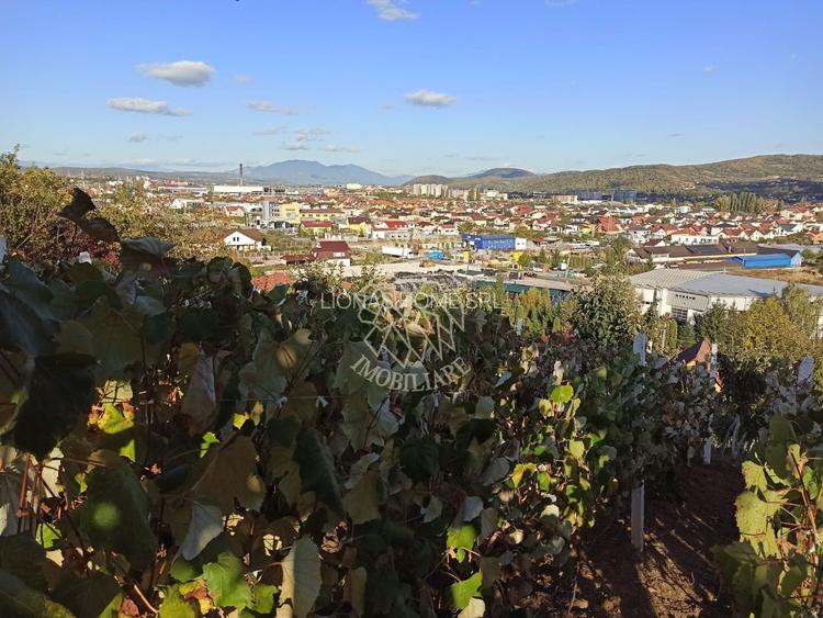 Teren intravilan 730 mp-livada-vedere panoramica-Valea Sigmirului - 2