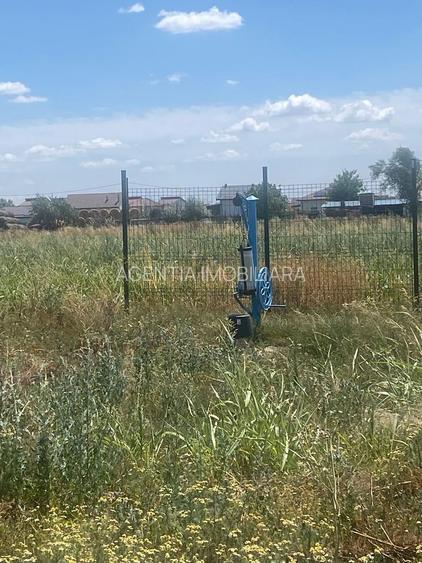 Teren intravilan 2.500 mp – Adunații Copăceni | Container inclus + puț - 6