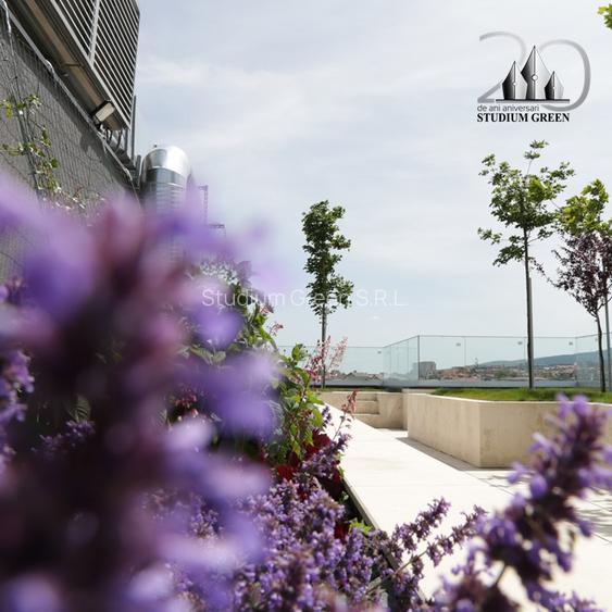 Vand  apartament cu  3 camere 115 mp in Seasons! Bloc FINALIZAT! Cu CF! - 2