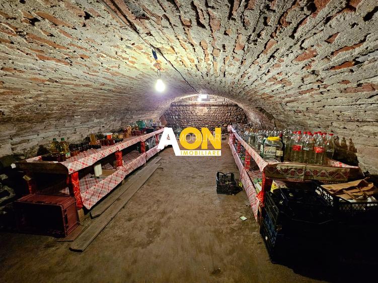 Casa 4 camere, toate utilitatile, 1650 mp teren, Lancram - 17