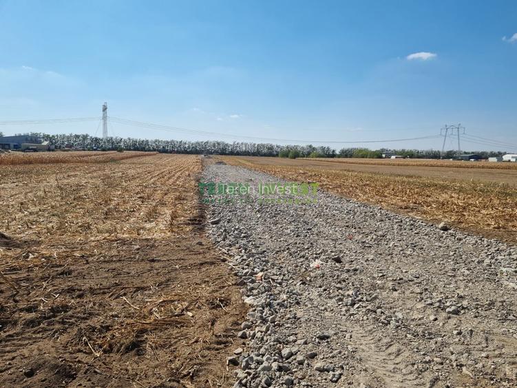 Vânzare teren industrial 2800 mp Frumușani - 3