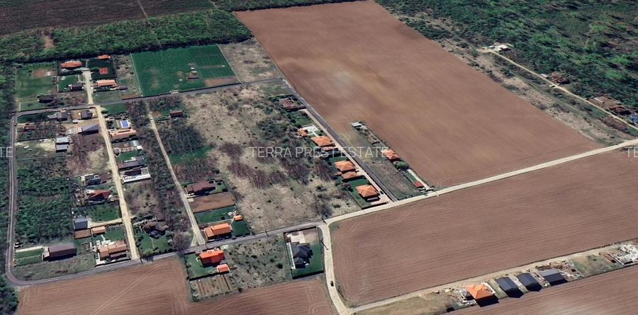 800 mp padurea Snagov Ciofliceni l utilitati la strada - 6