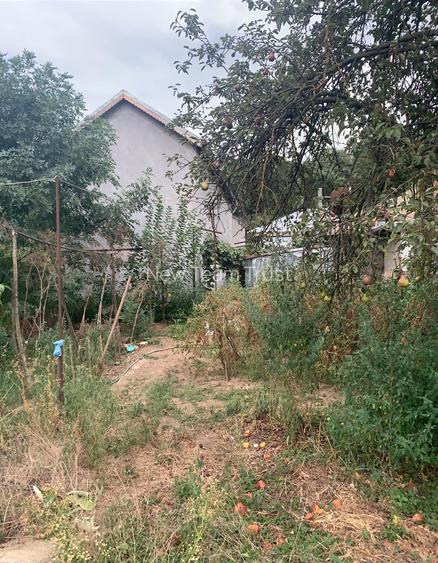 Voluntari  Vanzare Teren 1400mp +casa - 3