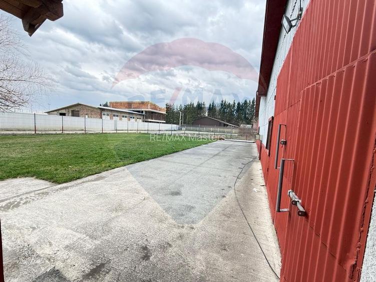 Hală industrială cu birouri si teren Gura Humorului - 24