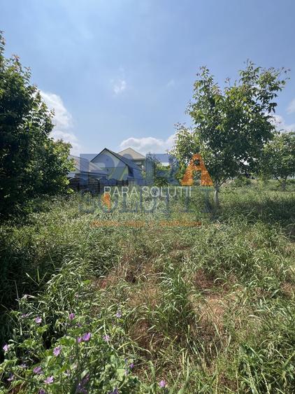 5200 mp intravilan - Str Viitorului (zona Abator) - 4