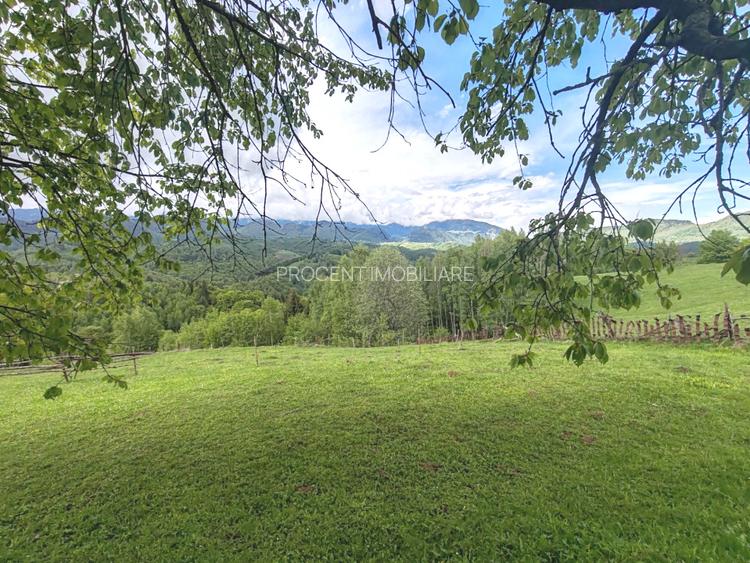 Oportunitate rara! Teren 7.283 mp, investitie garantata - 11