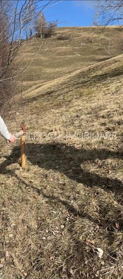 Vanzare Teren cu Punct de Belvedere in Moieciu zona Magura-Pestera - 23