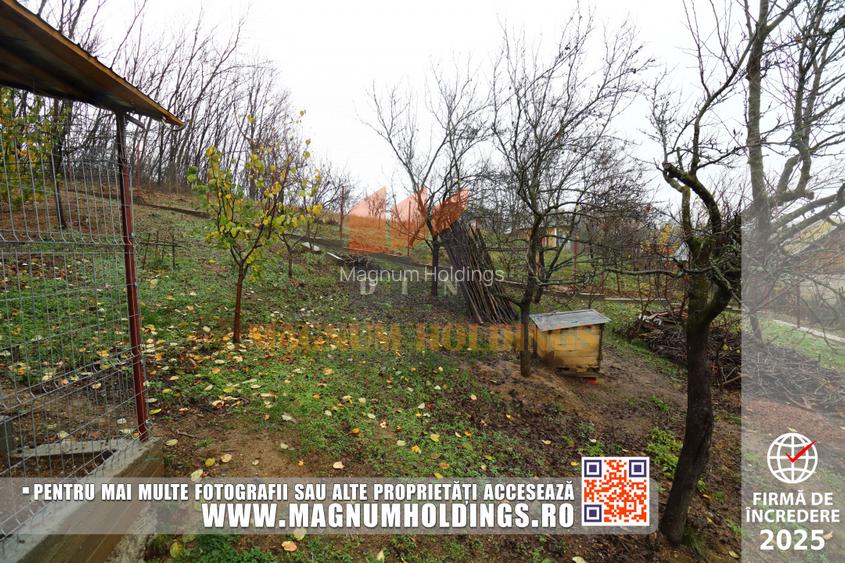 Casa Albota, Mares, 260 mp construiti, 1700 mp teren - 9